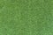 Green artificial Astroturf for pattern and background.