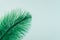 Green artificial feather close up