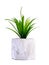 Green artificial plants