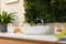 Green artificial plants, vessel sink and different personal care products in bathroom