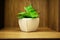 Green artificial succulent plant home decor