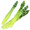 Green asparagus