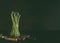 Green asparagus bunch standing on dark rustic kitchen table background with wooden cutting board and knife. Copy space