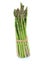 Green asparagus bunch vegetable isolated