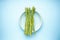 Green asparagus in a plate on blue background, flat lay