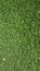 Green astro turf