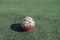 Green astroturf with white colorful soccer ball European football