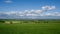 Green Australia Farmland Landscape