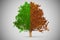 Green autumn oak tree 3D rendering