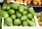 Green Avocados in basket
