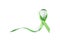 Green awareness ribbon isolated