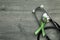 Green awareness ribbon and stethoscope on gray textured background