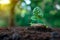 Green awareness Tree sprouts on the ground, embodying environmental consciousness