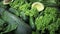Green background of fresh lettuce leaves avocado cucumber zucchini