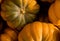 Green background orange pumpkin farm bunch of autumn