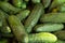 Green background. Organic eating. Agriculture retailer. Farmer`s nature food. fresh cucumber in the supermarket