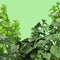 Green background with painted thickets cucumber plants