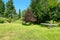 Green backyard with trampoline