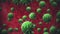 Green bacteria or covid-19 virus, cells randomly move and rotate against the red background of human organs