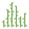 Green bamboo branches and leaves. Vector illustration