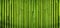 Green bamboo fence texture background, bamboo texture panorama