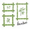 Green bamboo frames. Vector illustration.