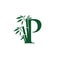 Green Bamboo P Letter Logo