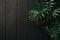 Green Bamboo palm leaves with black concrete wall dark tone image