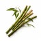 Green Bamboo Pile On White Surface - Symbolic Elements With Youthful Energy