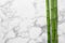 Green bamboo stems on white marble background. Space for text