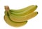 Green banana bundle