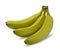 Green banana bundle