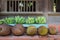 Green banana and jackfruit for sale in front of a wooden old house. Retro style