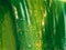Green banana leaves with water drops, close-up for a rainy season nature background.
