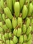 Green Bananas Bunche