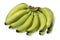 Green Bananas Isolated