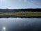 green bank of the Lena River, clear water in the river.