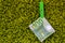 Green banknote 100 euro in a green clothes peg at green background