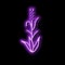 green barley plant neon glow icon illustration