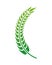 Green barley wheat spike nature icon