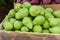 Green bartlett pears for sale at market
