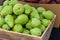 Green bartlett pears for sale at market