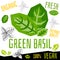 Green basil icon label fresh organic vegetable, vegetables nuts herbs spice condiment color graphic design vegan food.