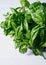 Green basil leaves on background of white brick wall, fresh healthy herbal food on kitchen table, space mock up, dieting leaf