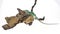 Green basilisks or Basiliscus basiliscus jumping on a wooden snag on white background. Close up. Slow motion.