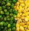 Green bean and yellow bean