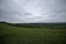 green beautiful meadows under a cloudy sky early summer