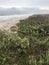 The Green Beauty of Canaveral National Seashore U.S. National Park Service
