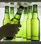 Green beer bottles chilled in drops of water on a shelf in the refrigerator. Hand takes the bottle