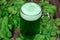 Green beer in mug